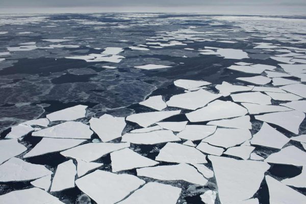 Floating ice floes along one edge of Fram Strait. Photograph: Denis Sinyakov/Greenpeace